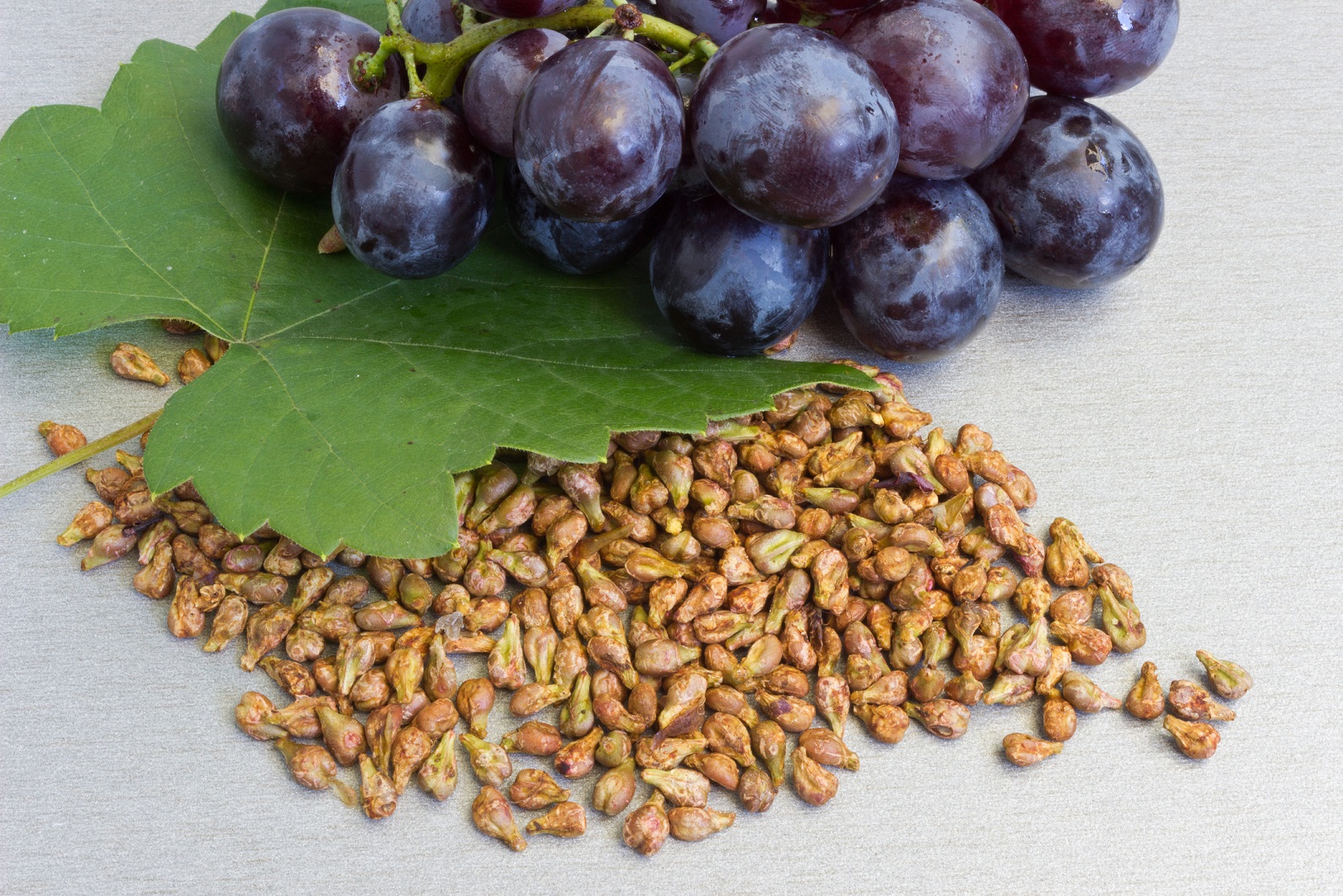 purple grapes and grape seeds.