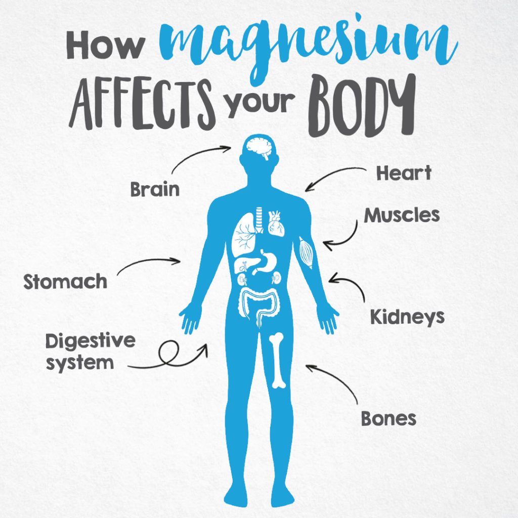 How magnesium affects the body.